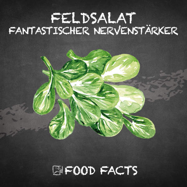 Feldsalat Food Fact