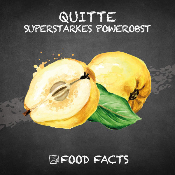 Quitte Food Fact 