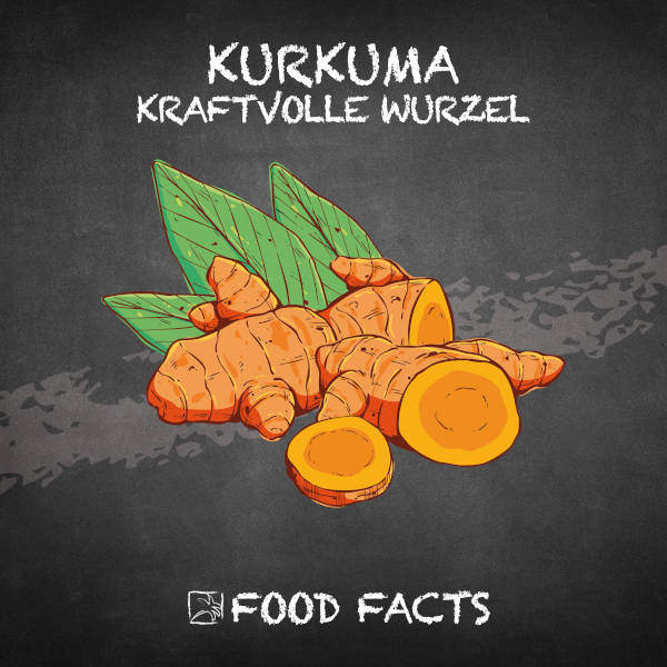 Kurkuma Food Fact