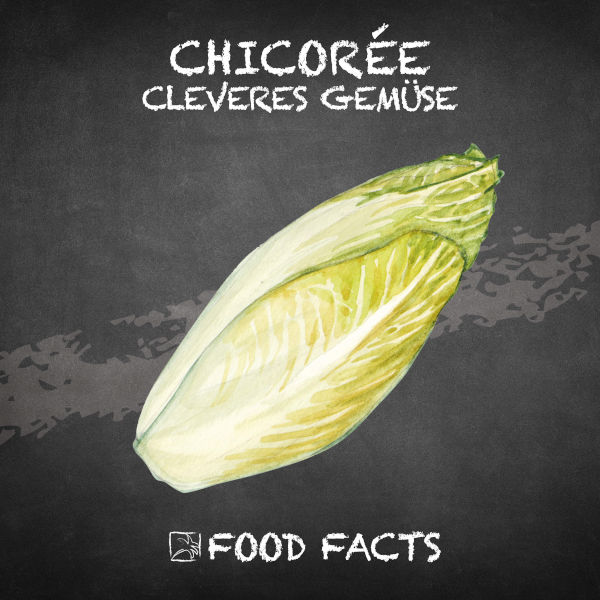 Chicorée Food Fact