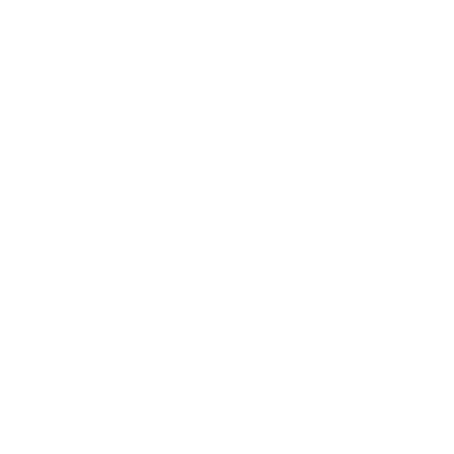 Fitnessstudio Pfitzenmeier in der Stadt-Galerie Wiesloch eröffnet am 26./27. Oktober 2024