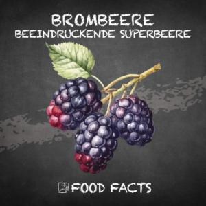 Früchte – Brombeeren Thumbnail