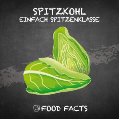 Gemüse – Spitzkohl Thumbnail