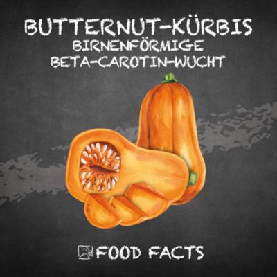 Gemüse – Butternutkürbis Thumbnail